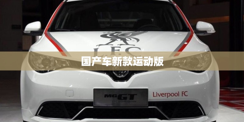 国产车新款运动版