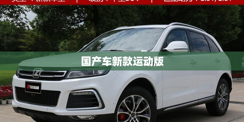 国产车新款运动版