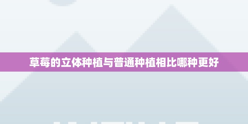 草莓的立体种植与普通种植相比哪种更好