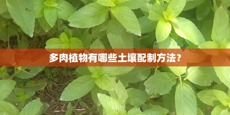 多肉植物有哪些土壤配制方法？