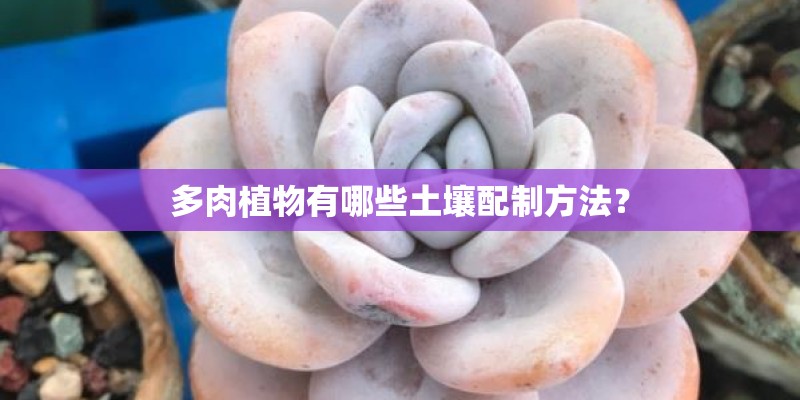 多肉植物有哪些土壤配制方法？