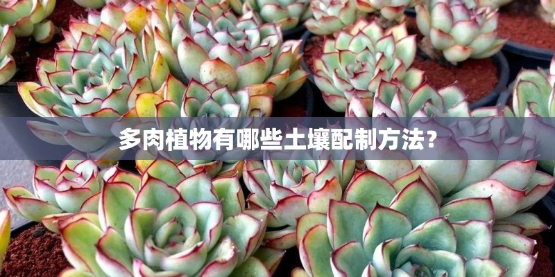 多肉植物有哪些土壤配制方法？