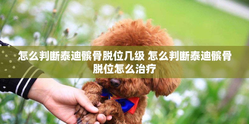 怎么判断泰迪髌骨脱位几级 怎么判断泰迪髌骨脱位怎么治疗