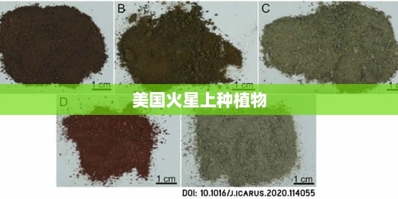 美国火星上种植物