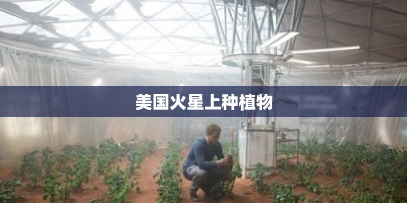 美国火星上种植物