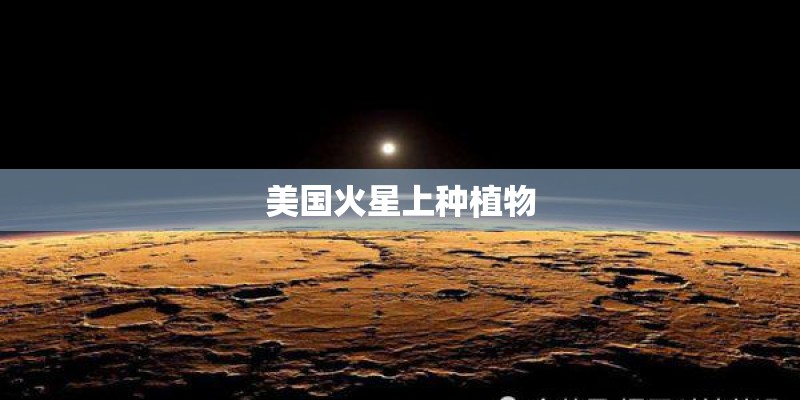 美国火星上种植物