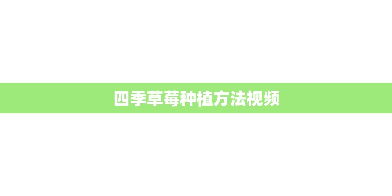 四季草莓种植方法视频