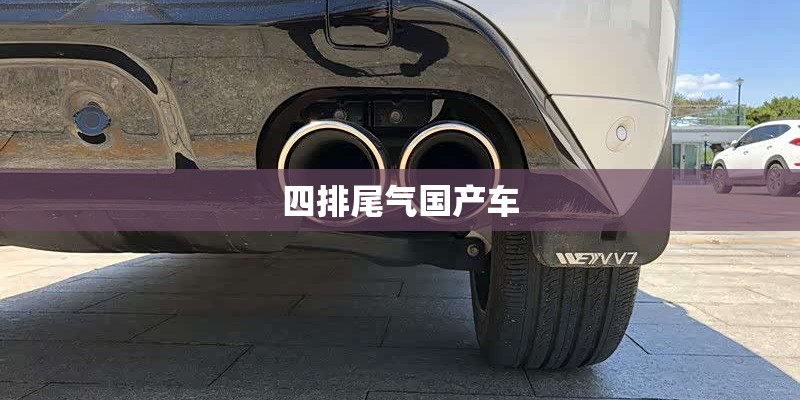 四排尾气国产车
