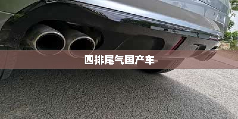 四排尾气国产车
