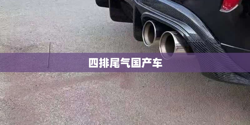 四排尾气国产车