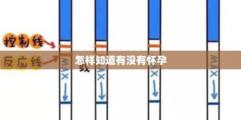 怎样知道有没有怀孕