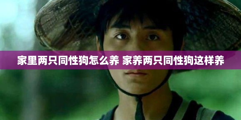 家里两只同性狗怎么养 家养两只同性狗这样养