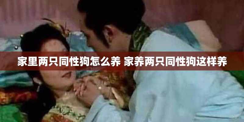 家里两只同性狗怎么养 家养两只同性狗这样养