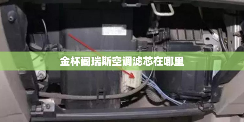 金杯阁瑞斯空调滤芯在哪里