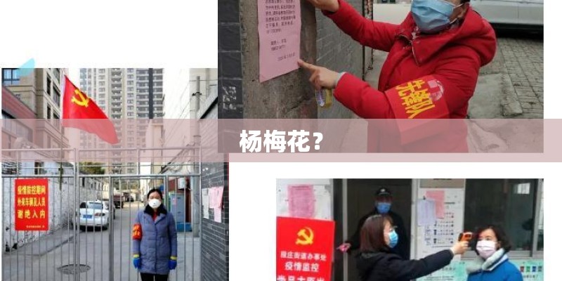 杨梅花？