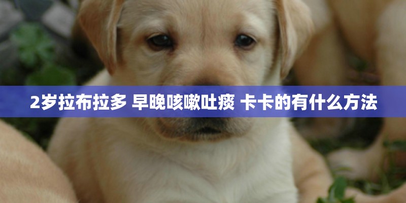 2岁拉布拉多 早晚咳嗽吐痰 卡卡的有什么方法