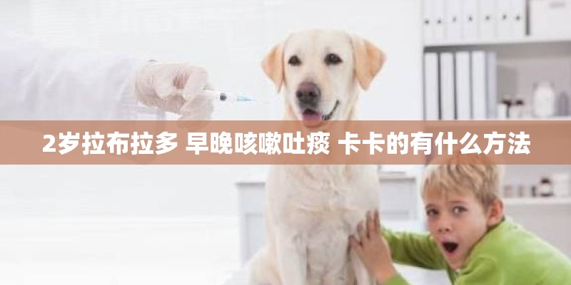 2岁拉布拉多 早晚咳嗽吐痰 卡卡的有什么方法