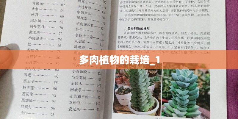 多肉植物的栽培_1
