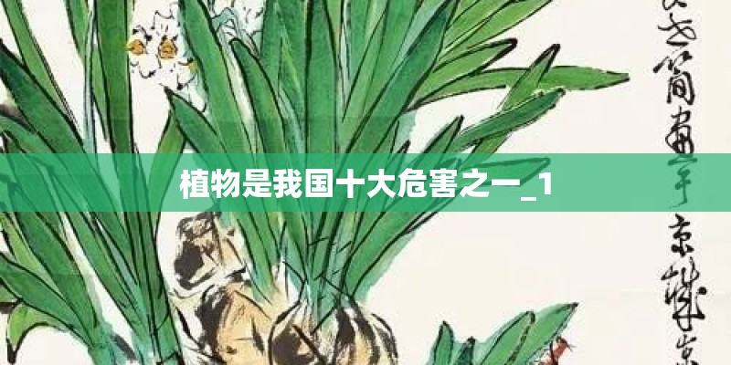 植物是我国十大危害之一_1