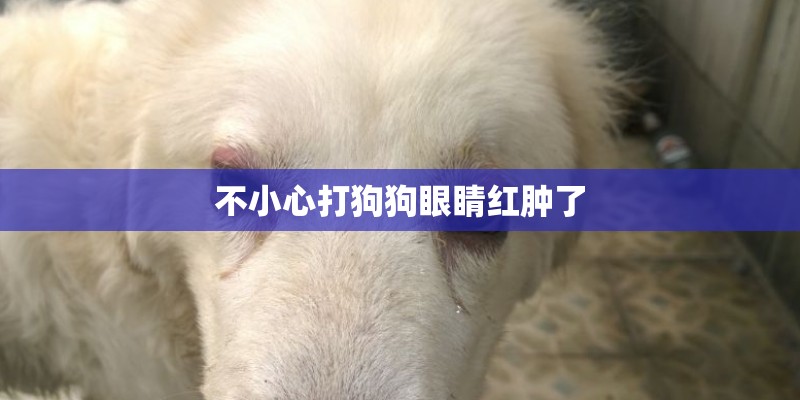 不小心打狗狗眼睛红肿了