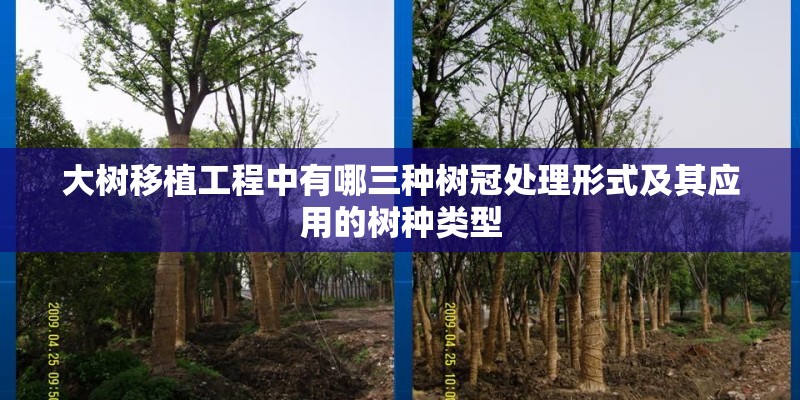 大雾封高速一般多久开放