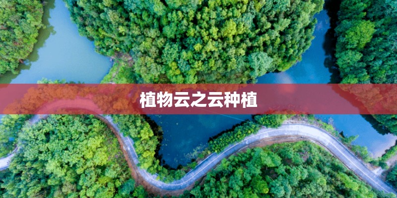 植物云之云种植