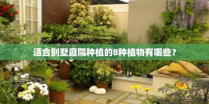 适合别墅庭院种植的8种植物有哪些？