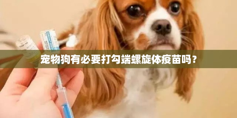 宠物狗有必要打勾端螺旋体疫苗吗？