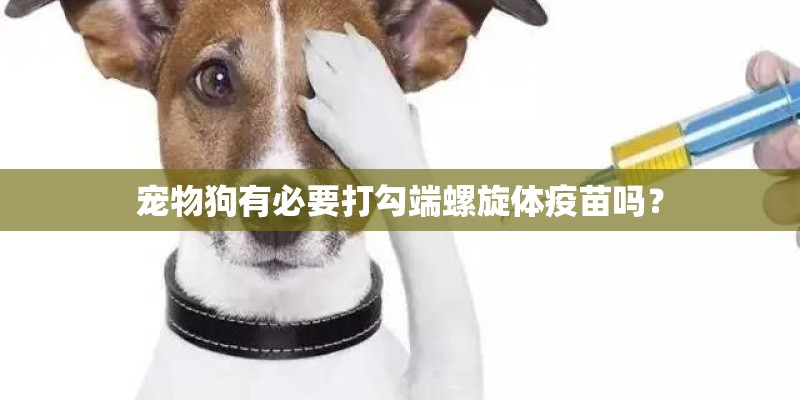 宠物狗有必要打勾端螺旋体疫苗吗？