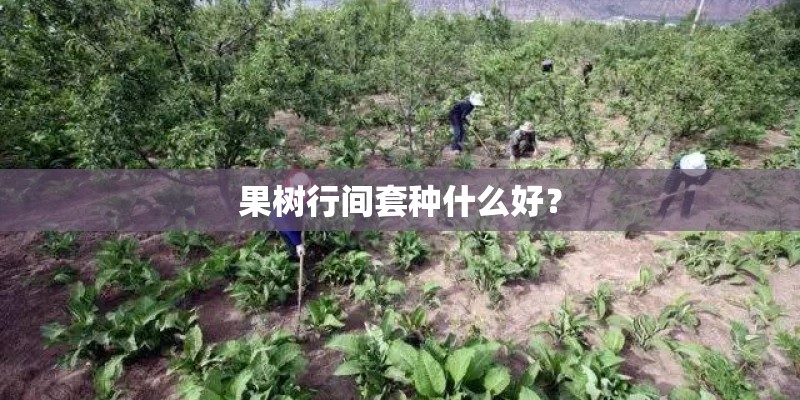 乌拉草床垫怎么样,乌拉草床垫的优缺点分析