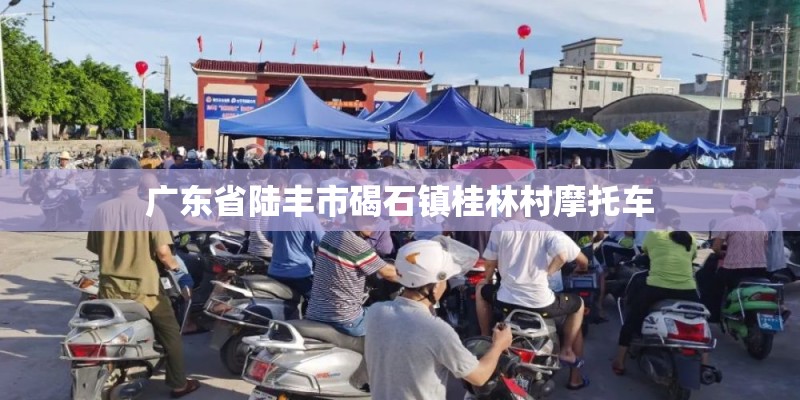 广东省陆丰市碣石镇桂林村摩托车