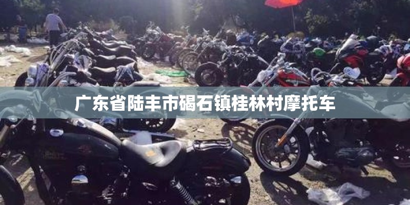 广东省陆丰市碣石镇桂林村摩托车