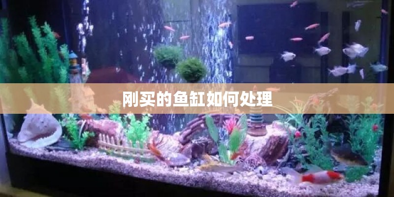 刚买的鱼缸如何处理