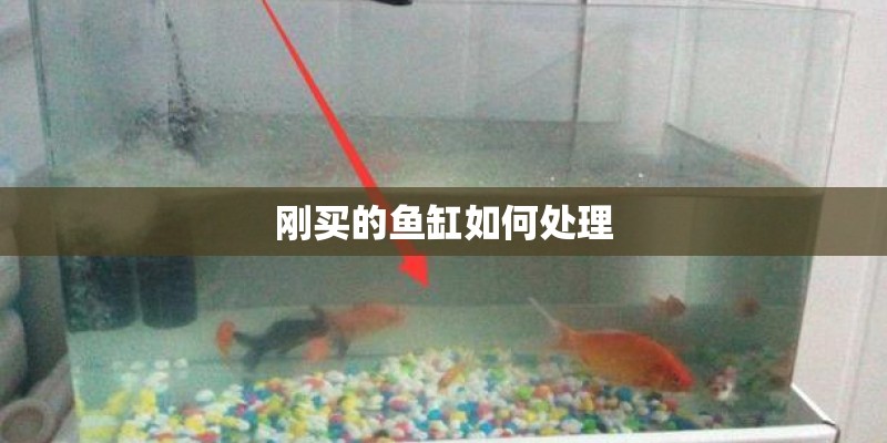 刚买的鱼缸如何处理