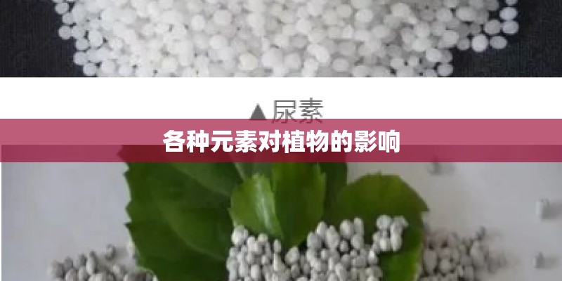 各种元素对植物的影响 各种元素对植物的影响