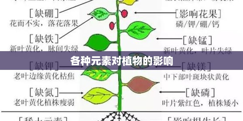各种元素对植物的影响 各种元素对植物的影响