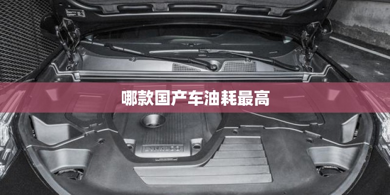 哪款国产车油耗最高