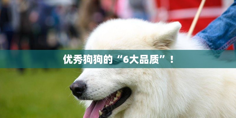 优秀狗狗的“6大品质”! 优秀狗狗的“6大品质”!