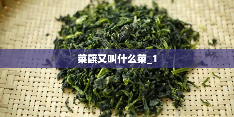 菜蕻又叫什么菜_1