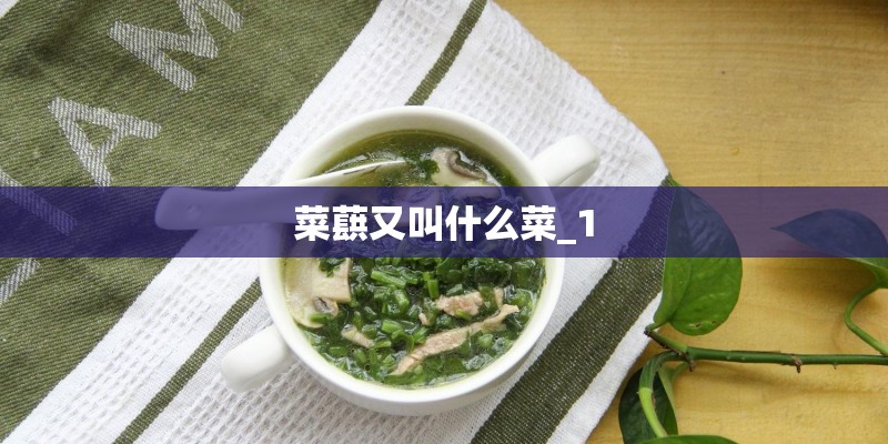 菜蕻又叫什么菜_1