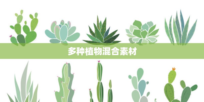 多种植物混合素材