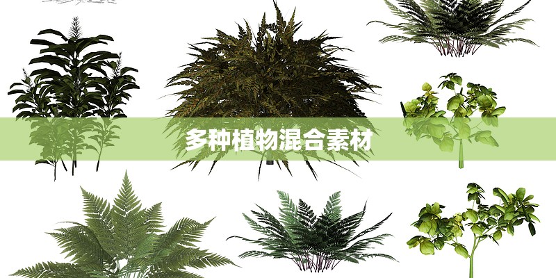 多种植物混合素材