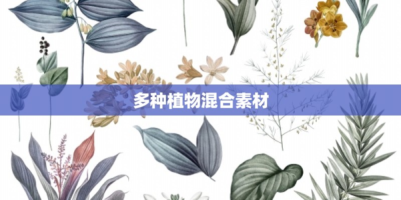 多种植物混合素材