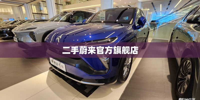 二手蔚来官方旗舰店