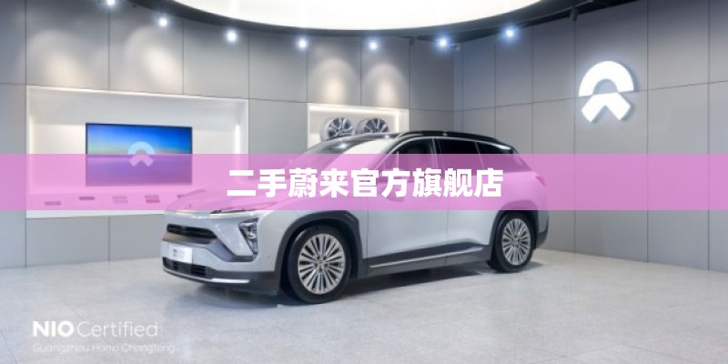 二手蔚来官方旗舰店