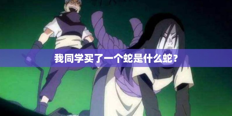 我同学买了一个蛇是什么蛇？