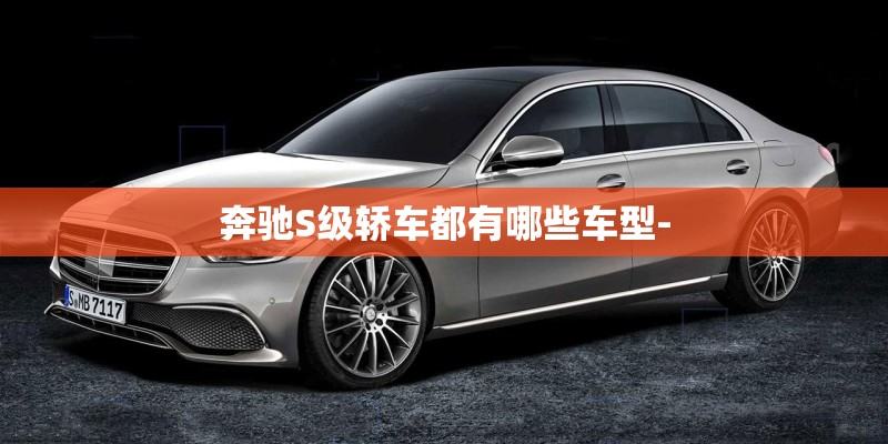 奔驰S级轿车都有哪些车型-
