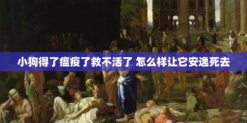 小狗得了瘟疫了救不活了 怎么样让它安逸死去 小狗得了瘟疫了救不活了 怎么样让它安逸死去