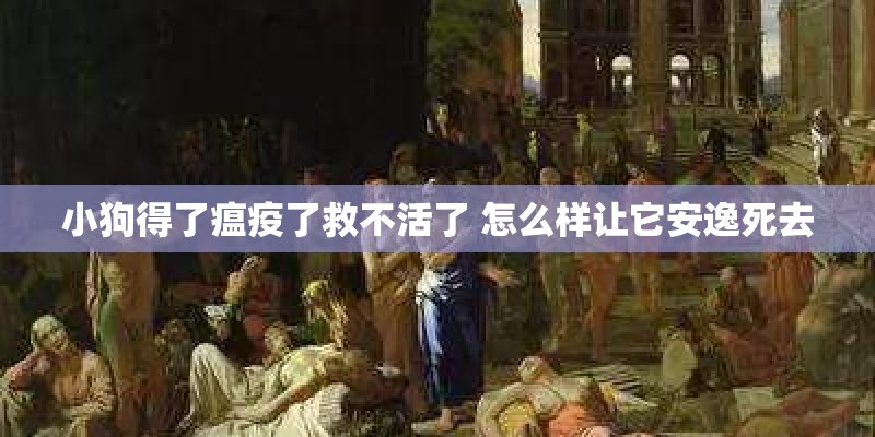 小狗得了瘟疫了救不活了 怎么样让它安逸死去 小狗得了瘟疫了救不活了 怎么样让它安逸死去