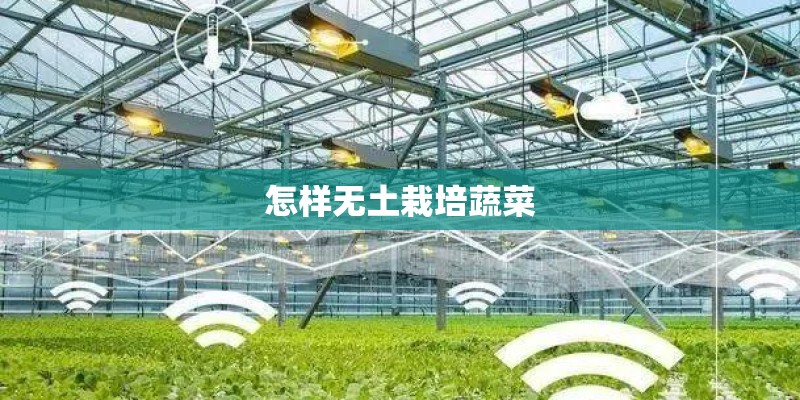 怎样无土栽培蔬菜